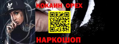 дмт Сланцы