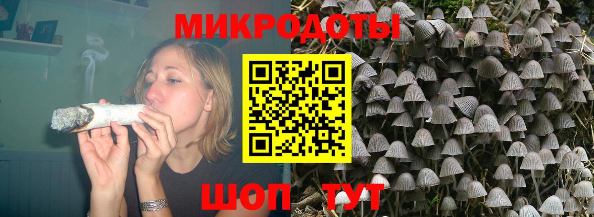 Псилоцибиновые грибы прущие грибы Ирбит