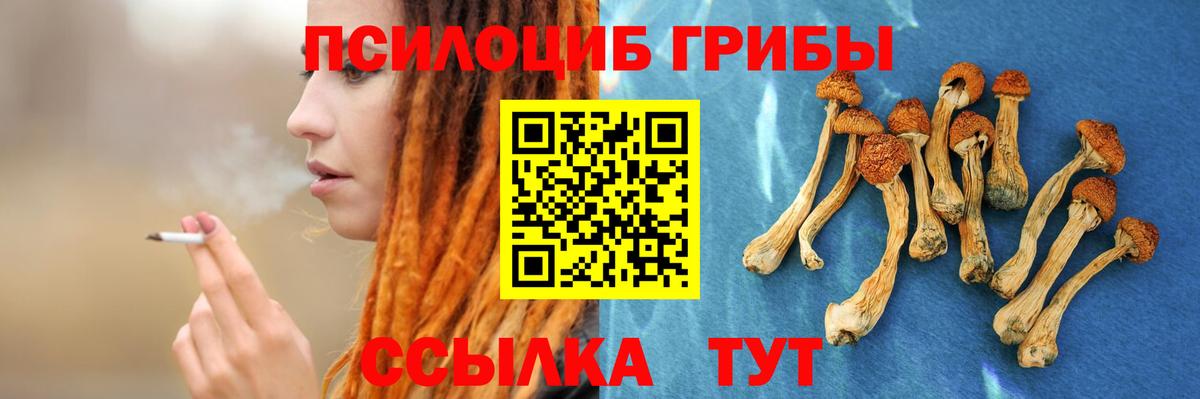 Ирбит  Псилоцибиновые грибы прущие грибы  Псилоцибиновые грибы ЛСД  Вход с VPN 